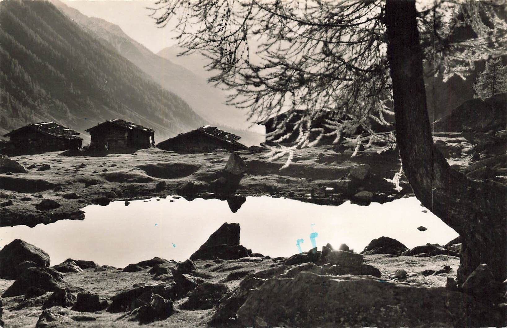 Ansichtskarten: Lötschental Fafleralp VS – Gebraucht aus Biasca von Blenio71