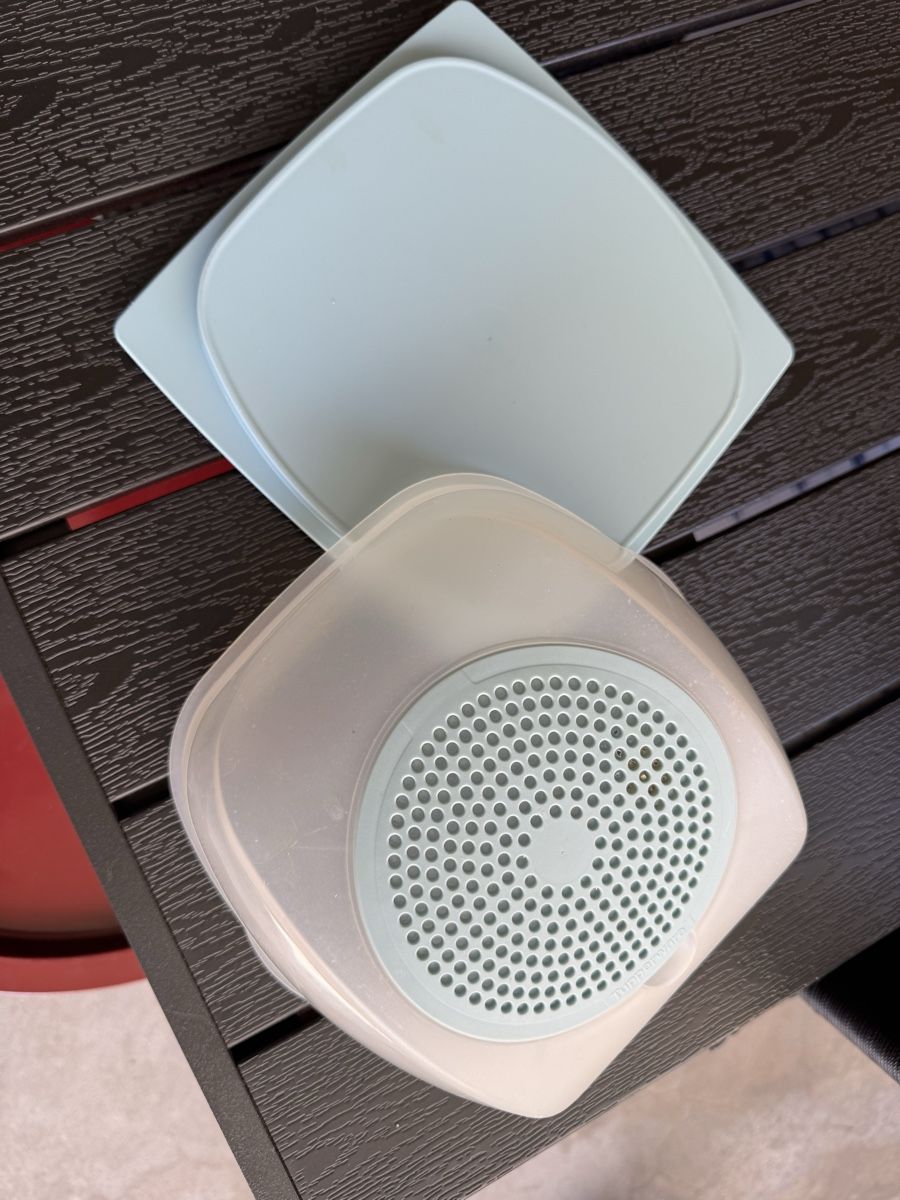 Tupperware Contenitori & Simili: Tupper Käsebox – Usato da Solothurn venduto da cla_28gv 2