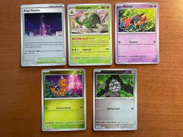 Pokemon Karten Set Reverse (Versand gratis)