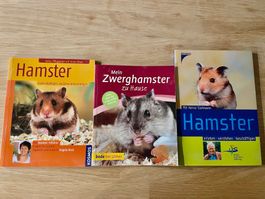 Hamster