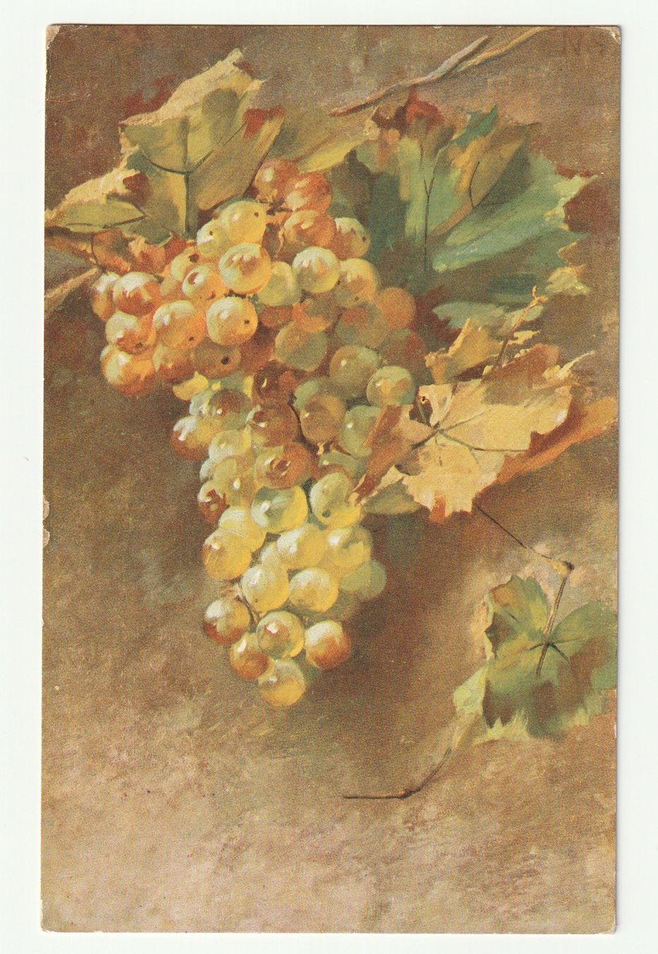 Cartoline postali: Ansichtskarte Trauben Motiv, 25.10.1905 – Usato da St. Gallen venduto da Ricardo_Deals