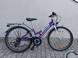 Starlet 24 Kindervelo