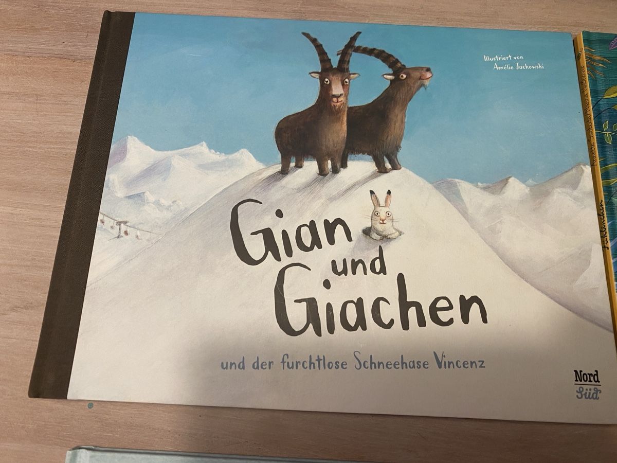 Bücher: Bücherpaket mit 4 neuwertigen Büchern – Neu (gemäss Beschreibung) aus Witterswil von Chivy 3