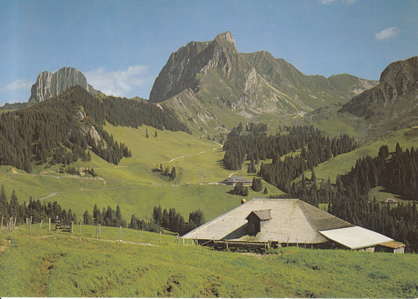 Cartoline postali: Nünenen 1989 – Usato da Bürglen TG venduto da StampGraf