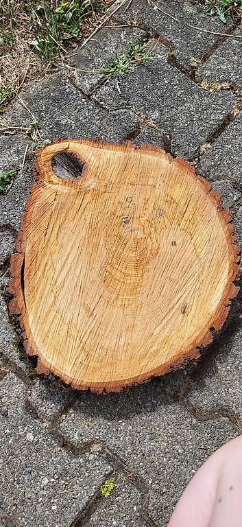 Articles en bois: Holzscheibe – D'occasion à Duggingen par lot-of-fun 1