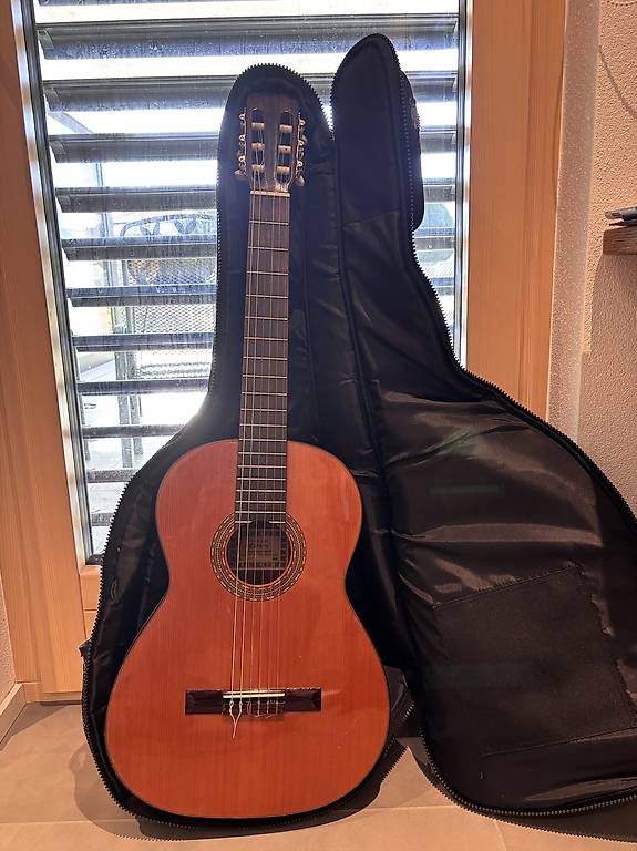 Musikinstrumente: Chitarra Esteve 2009 – Gebraucht aus Iragna von gio_w9sd