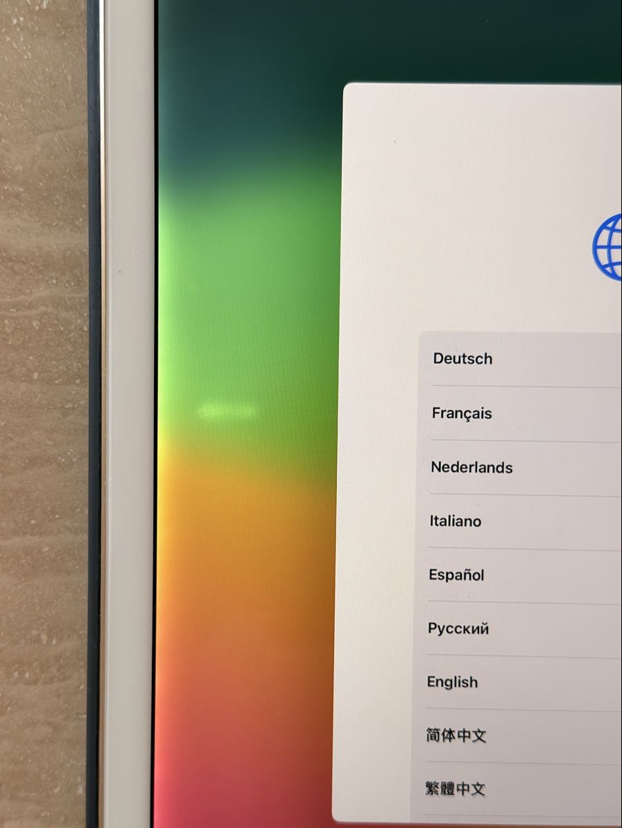 Apple Tablet PC: iPad Pro (12.9-inch) (2nd Generation)  – Usato da Uitikon Waldegg venduto da sdman 1