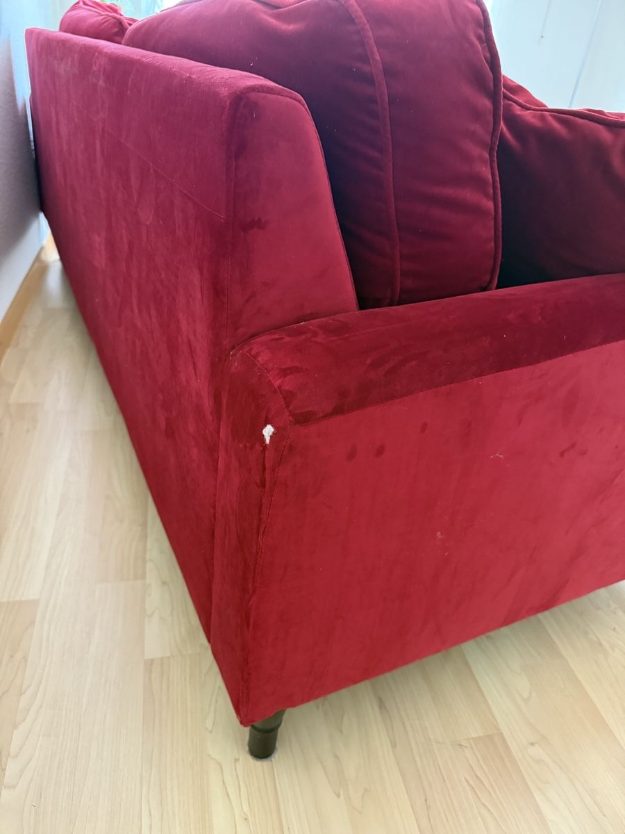 Divani: Elegantes Samtsofa – Usato da Birmensdorf ZH venduto da mogro7 2