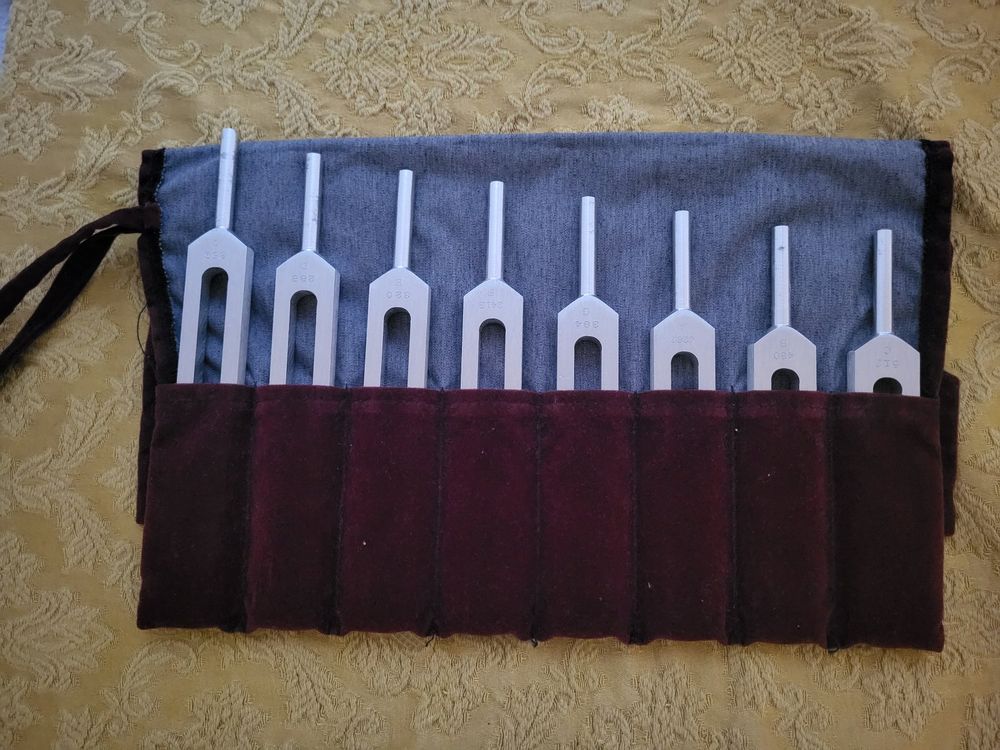 Biosonics Solar Harmonic Spectrum Set (Neu (gemäss Beschreibung)) in ...