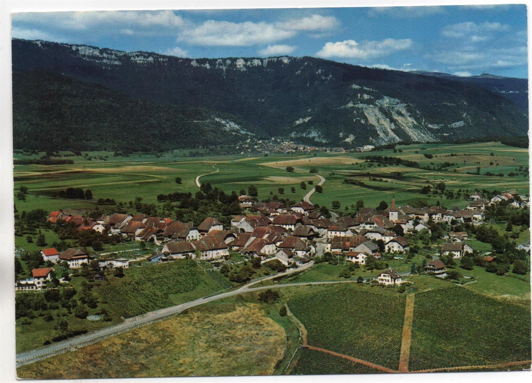 Cartoline postali: RANCES et le Jura – Nuovo (secondo la descrizione) da Jona venduto da philajona