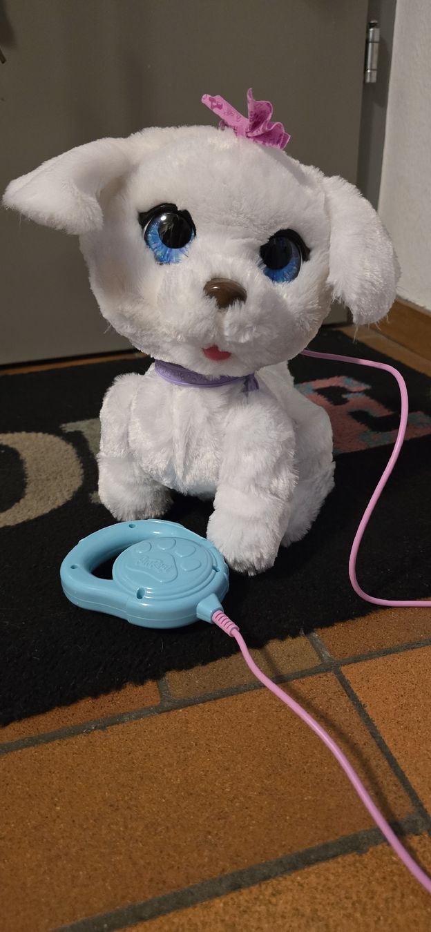 FurReal Giocattoli: FurReal GoGo Hündchen – Usato da Basel venduto da Nerea07