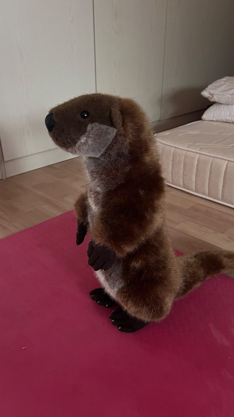 Giocattoli: Plüsch Otter – Usato da Röschenz venduto da nad_7yyr