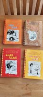 4 Bücher Gregs Tagebuch 