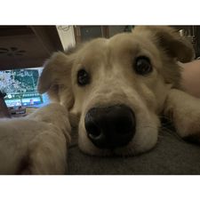 Profile image of sop_kw58