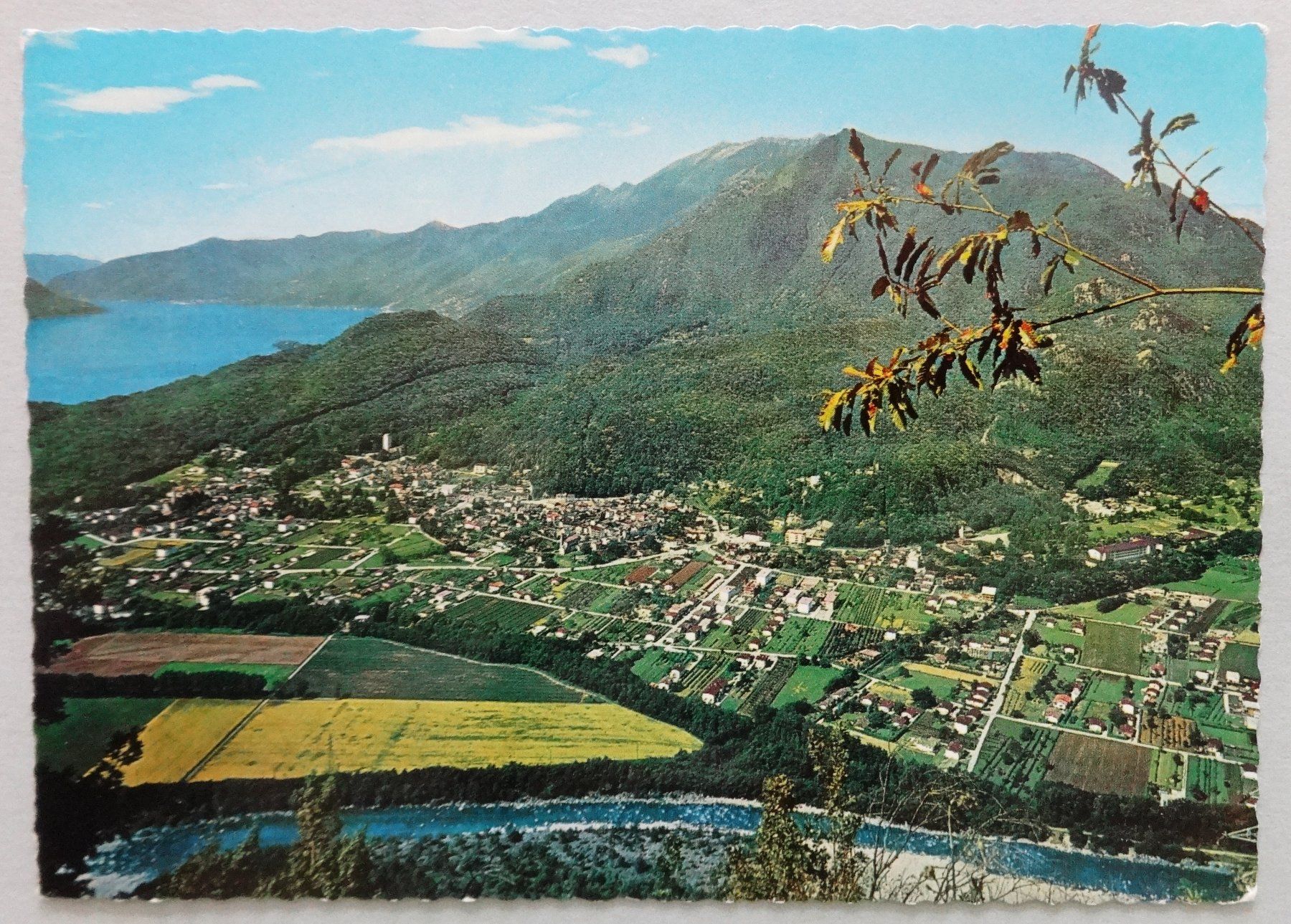Ansichtskarten: Losone, 240 m s/m, Lago Maggiore – Gebraucht aus Fétigny von Billy2miny