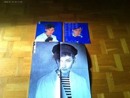 Gianna Nannini Fotoromanza Vinyl 1984 INKL. POSTER NANNINI