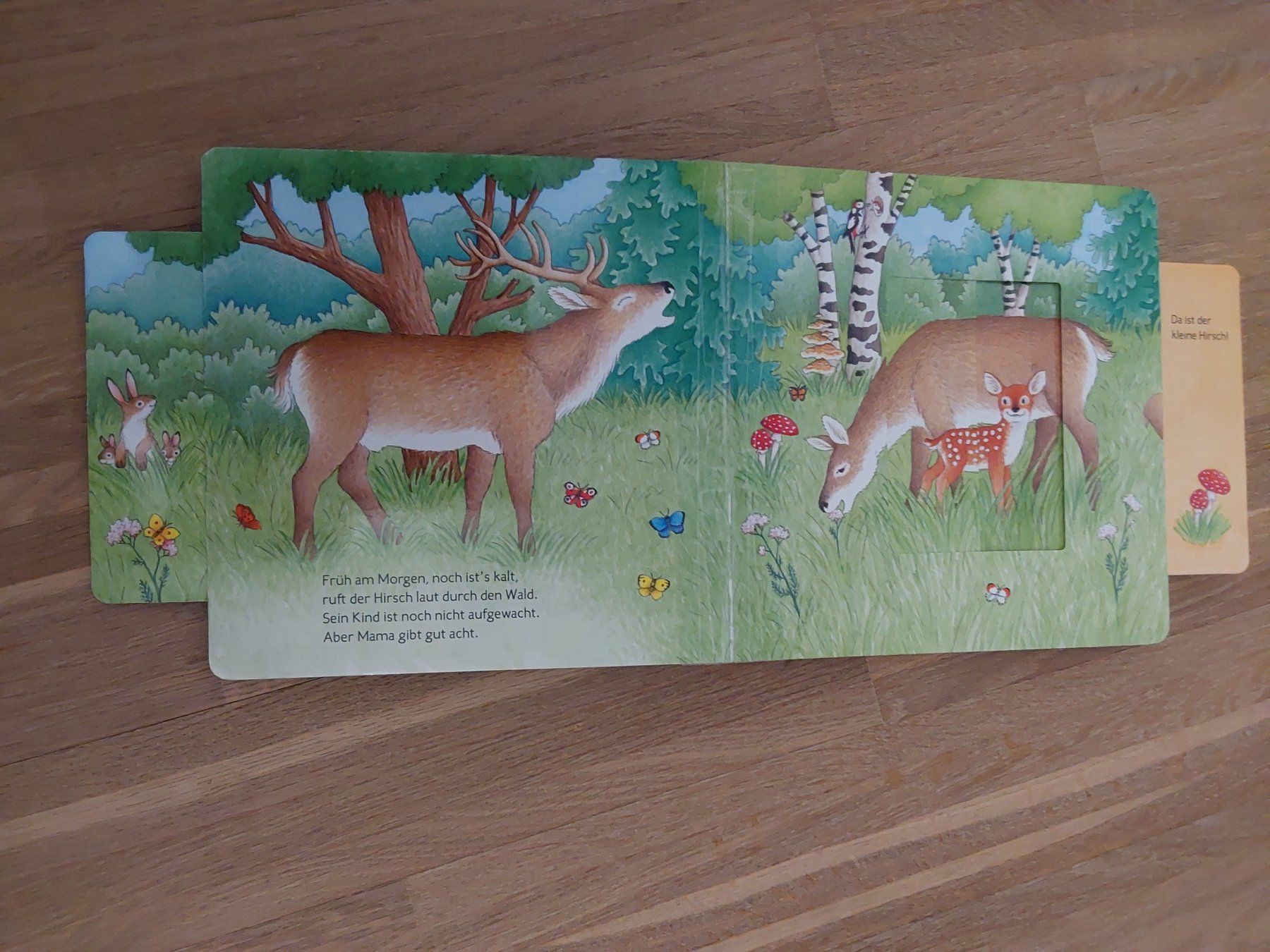Bücher: Kinder Bücher – Gebraucht aus Wallisellen von Wallisellen77 1