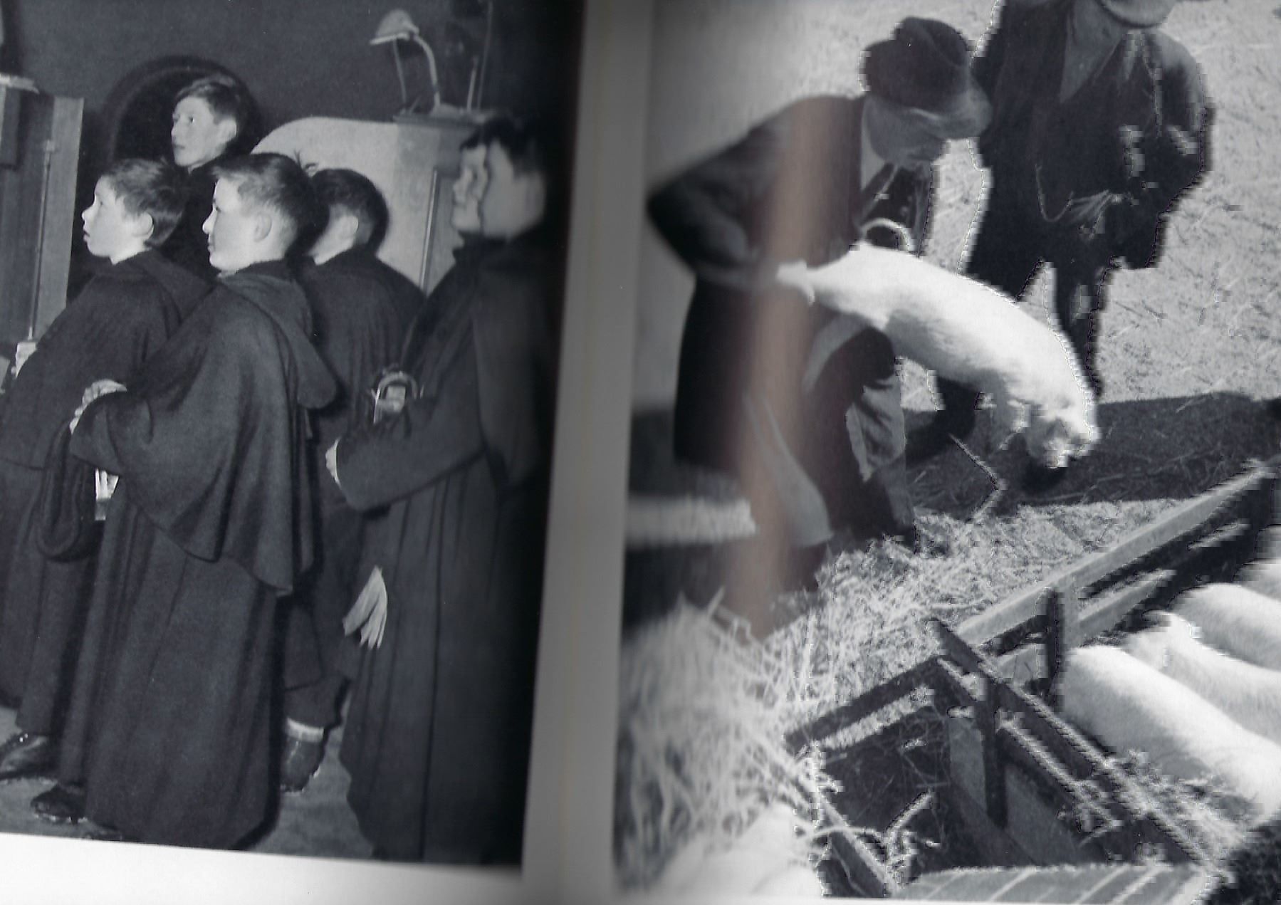 Libri: Aargau, Hrsg. von Walter Schmid, 1946 – Usato da Luzern venduto da Einh0rn 2