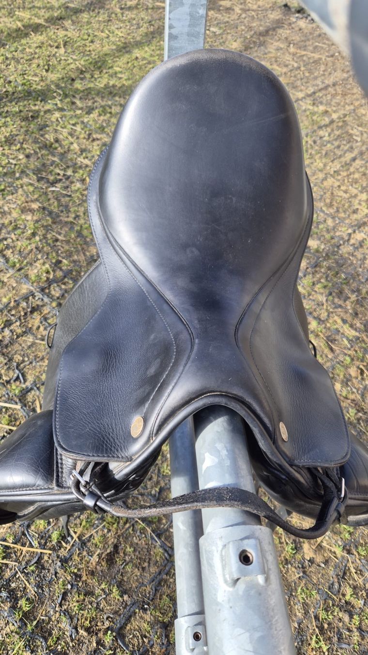 Selle & Accessori: Dessursattel Prestige – Usato da Affeltrangen venduto da CyrillS04 1