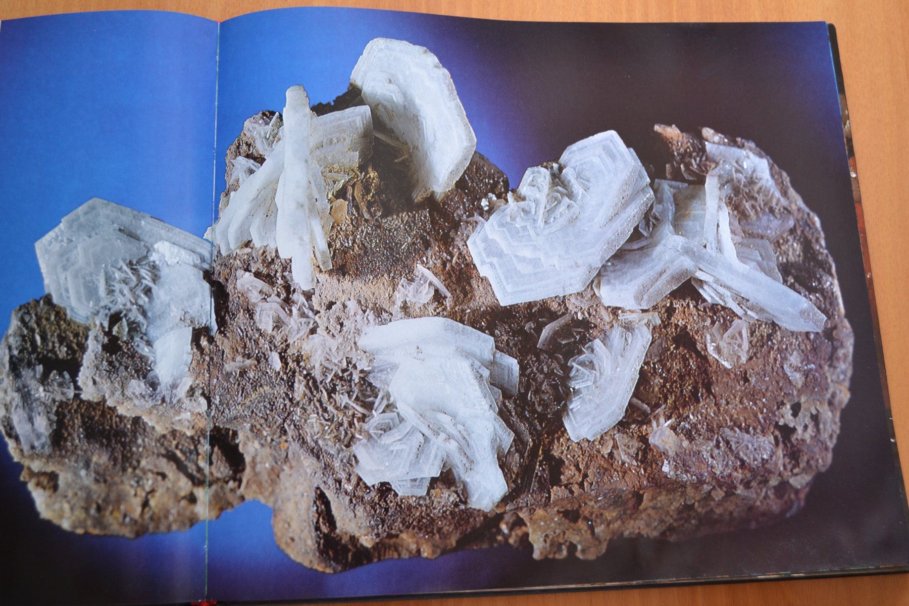 Bücher: Buch Mineralien mit 203 Seiten – Gebraucht aus Beinwil am See von kajak55 7