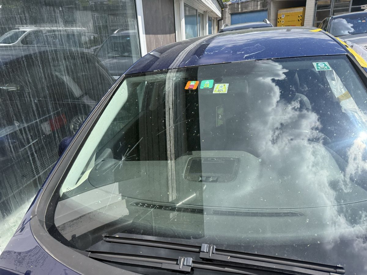 VW Automobili: VW Golf 2.0 TDI, Jg. 2005 - Defekt, Export oder Teile 53 – Usato da Herisau venduto da driti01 7