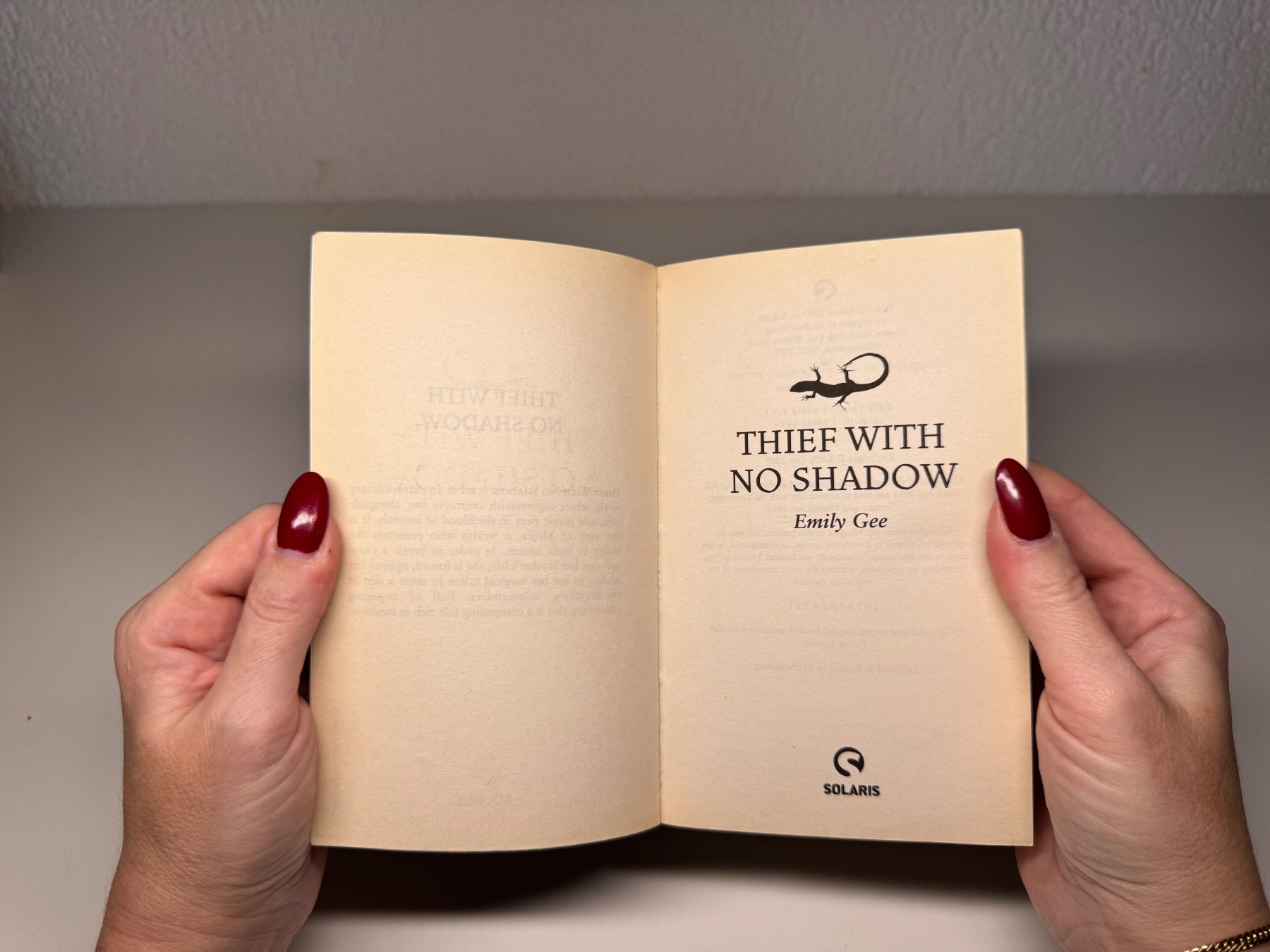 Libri: NOVEL: Emily Gee, Thief with no Shadow – Usato da Grosswangen venduto da English_books 2