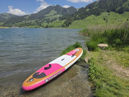 🐼 Panda SUP Board - Inkl. Zubehör & Tasche👌