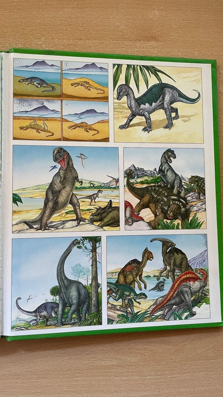 Libri: Dinosaurier – Usato da Glattfelden venduto da cybermaxx 3
