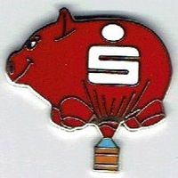 Sparkasse Schweinchen Ballon