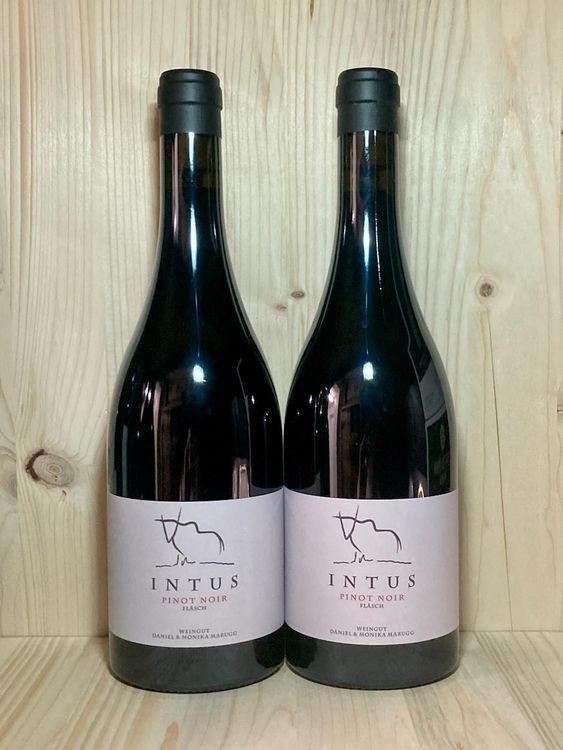 Intus 2018 Kaufen auf Ricardo