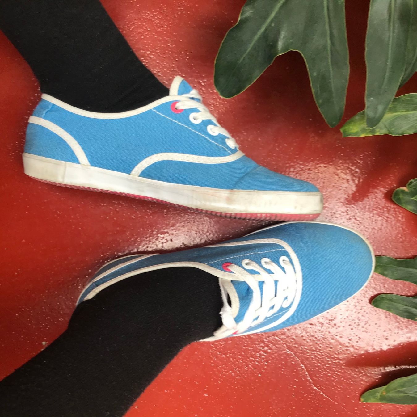 Scarpe da donna: HELLBLAUER MEXX SOMMER SNEAKER – Usato da Basel venduto da jillybean 1