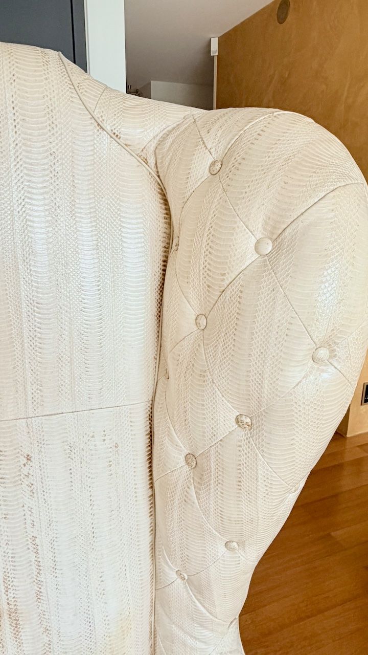 Sessel: Visionnaire Alice Ohrensessel Aalleder IPE Cavalli 165cm – Gebraucht aus Zürich von sr.zurich 2