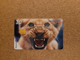 Taxcard Löwe
