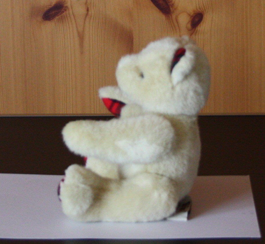 Giocattoli: Teddybär Bär  Gliedmassen beweglich – Usato da Flüelen venduto da Diversicum-Shop 2