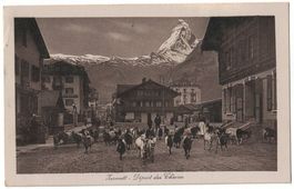 Zermatt, départ des chèvres - Die Ziegen sind los, gel. 1922