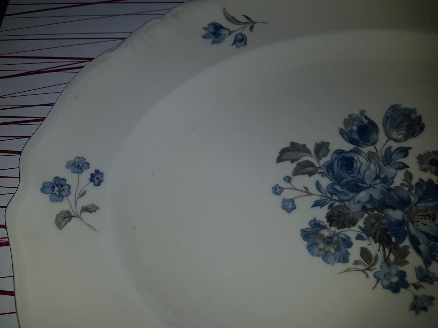 Piatti: Assiette ovale EPIAG CZECHOSLOVAKIA – Usato da Cossonay-ville venduto da Super-Price-Quality 6