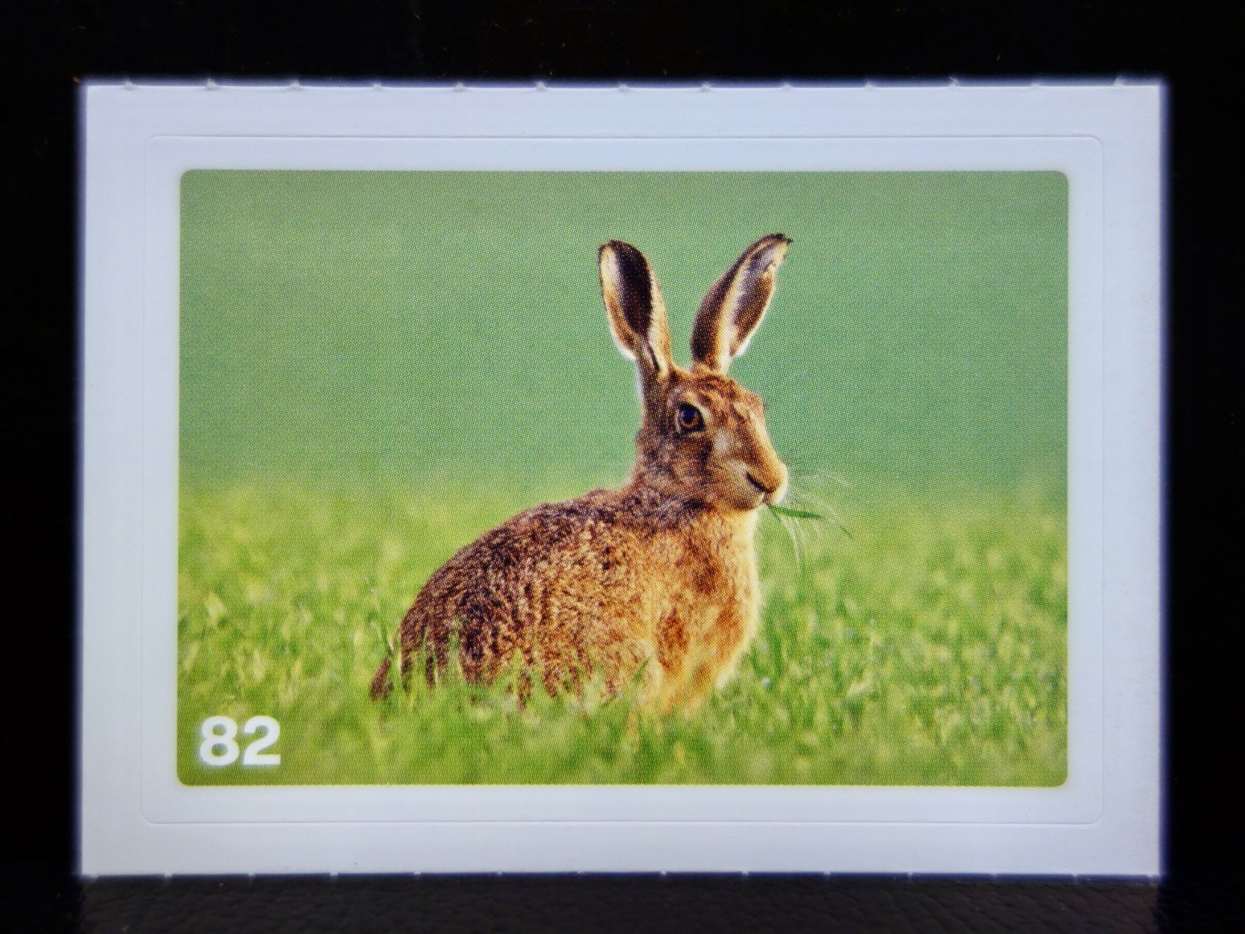 Migros Sammelbilder & Trading cards: MIGROS MANIA Nature Detectives Nr. 82 – Neu und originalverpackt aus Kerzers von djstarsky73
