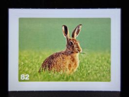 MIGROS MANIA Nature Detectives Nr. 82