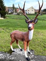 Realistische Hirsch Dekofigur für Garten & Terrasse