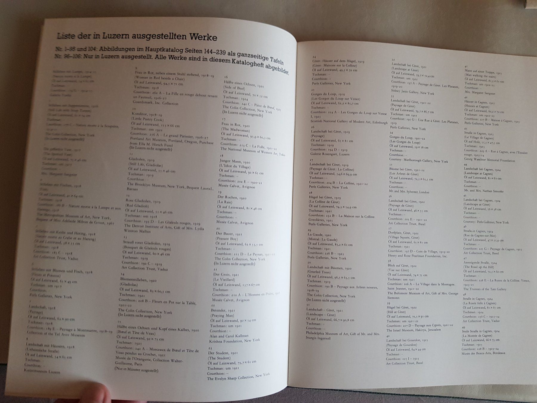 Libri: Chaim Soutine Kunstmuseum Luzern 1982 Katalogheft – Usato da Walterswil BE venduto da Lonitti 5
