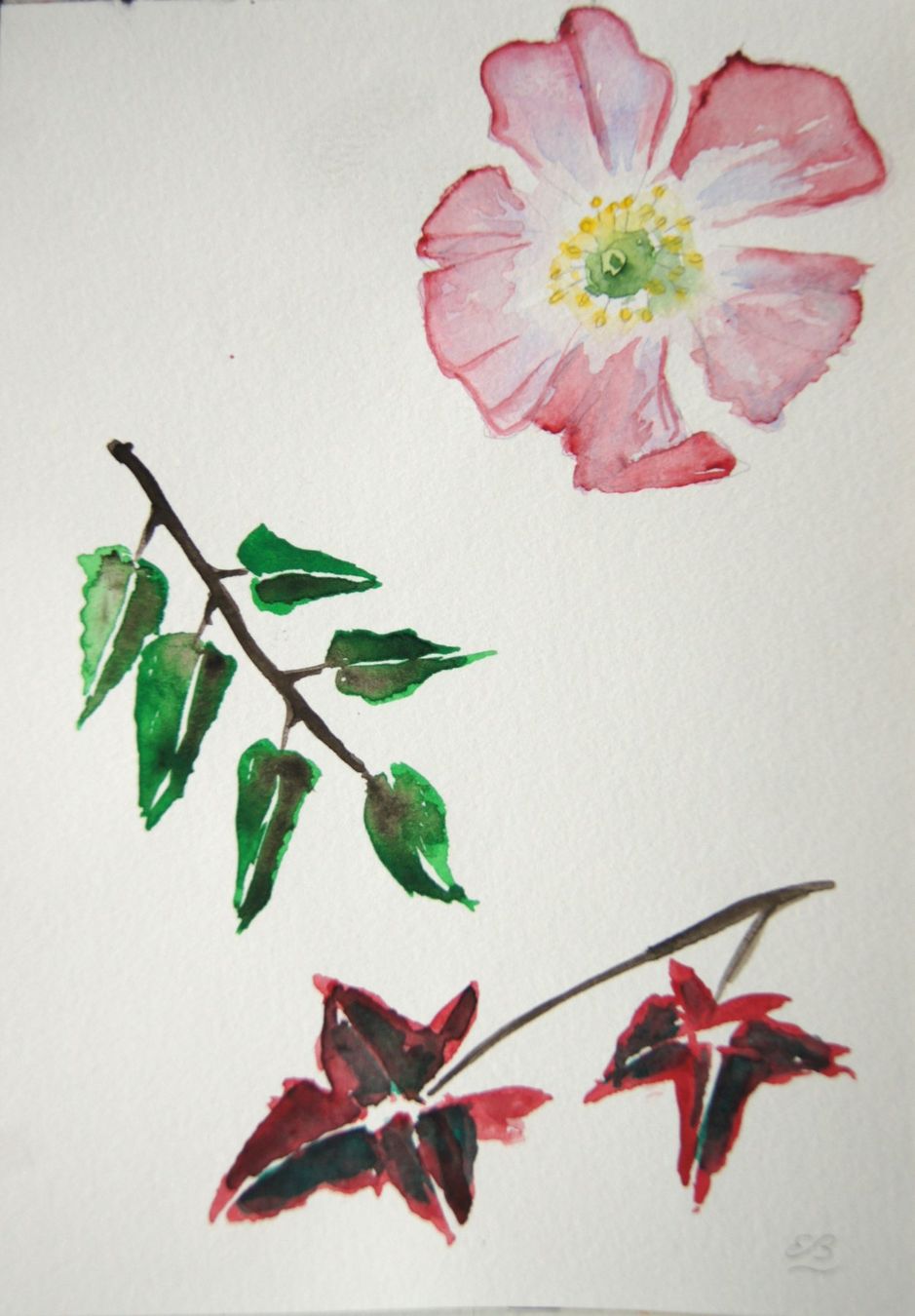 Dipinti: 2 Aquarell Zeichenbücher – Nuovo (secondo la descrizione) da Fribourg venduto da erw_68dx