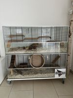 Terrarium 2 Stück