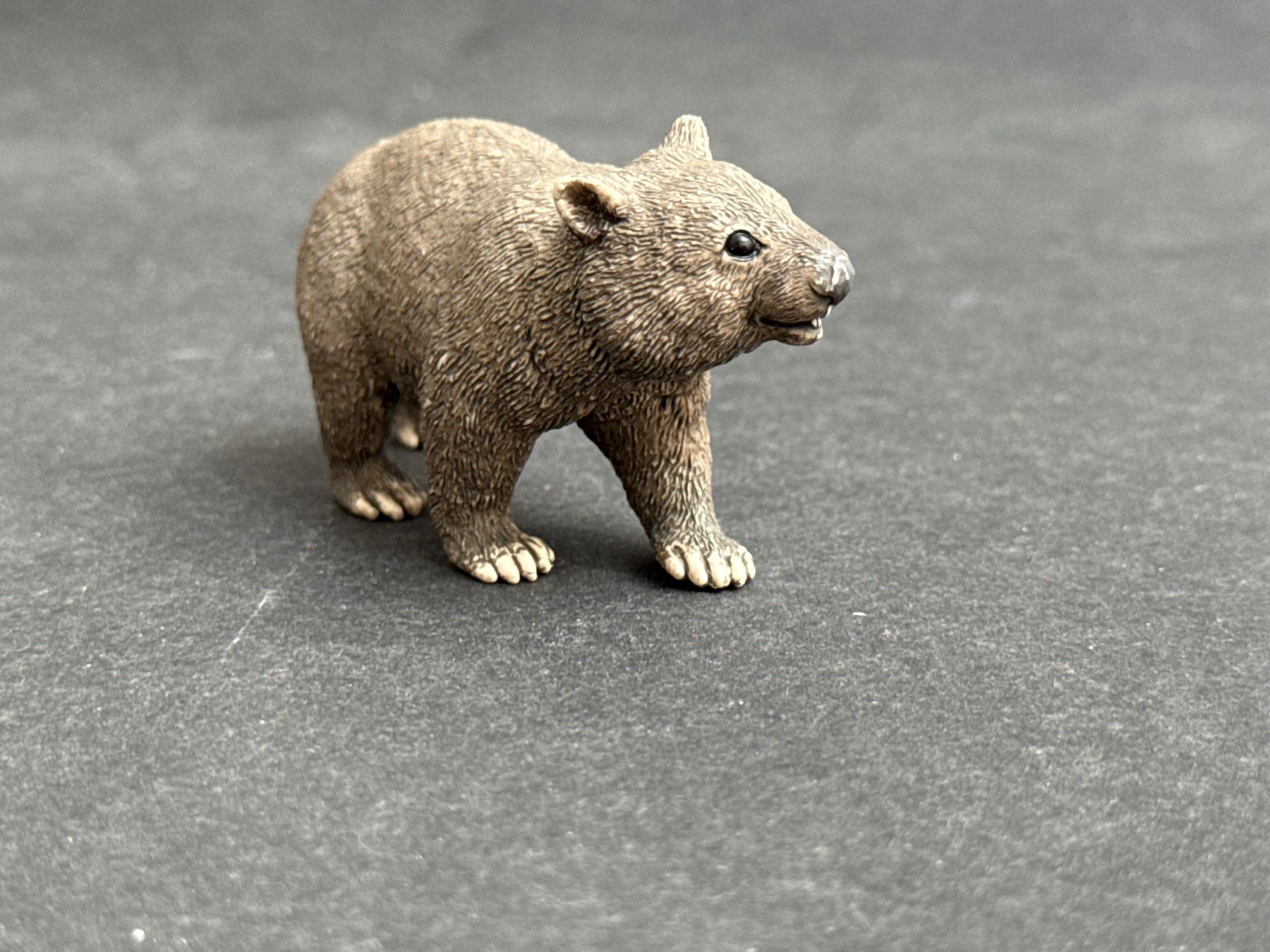 Schleich Statuette: Schleich 14834 Wombat – Usato da Ennetbaden venduto da mapa05 2