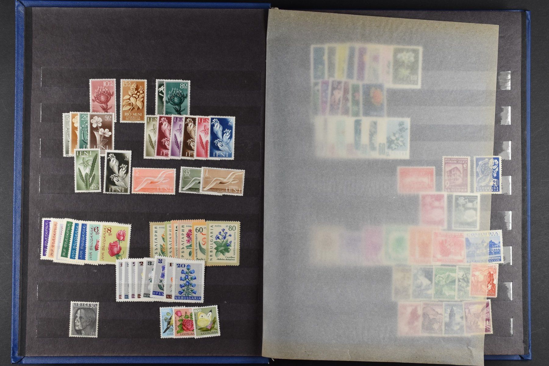 Tutti i francobolli: SAMMLUNG, BLUMEN, 2 EINSTECK-ALBEN, 900+ MARKEN – Usato da Wetzikon ZH venduto da Philimpex 1