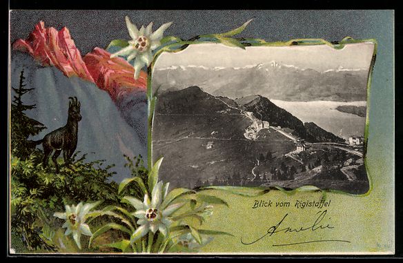 Cartoline postali: Litho Rigi, Blick vom Rigistaffel, Edelw – Usato da Berlin venduto da bartko-reher