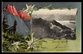 Litho Rigi, Blick vom Rigistaffel, Edelw