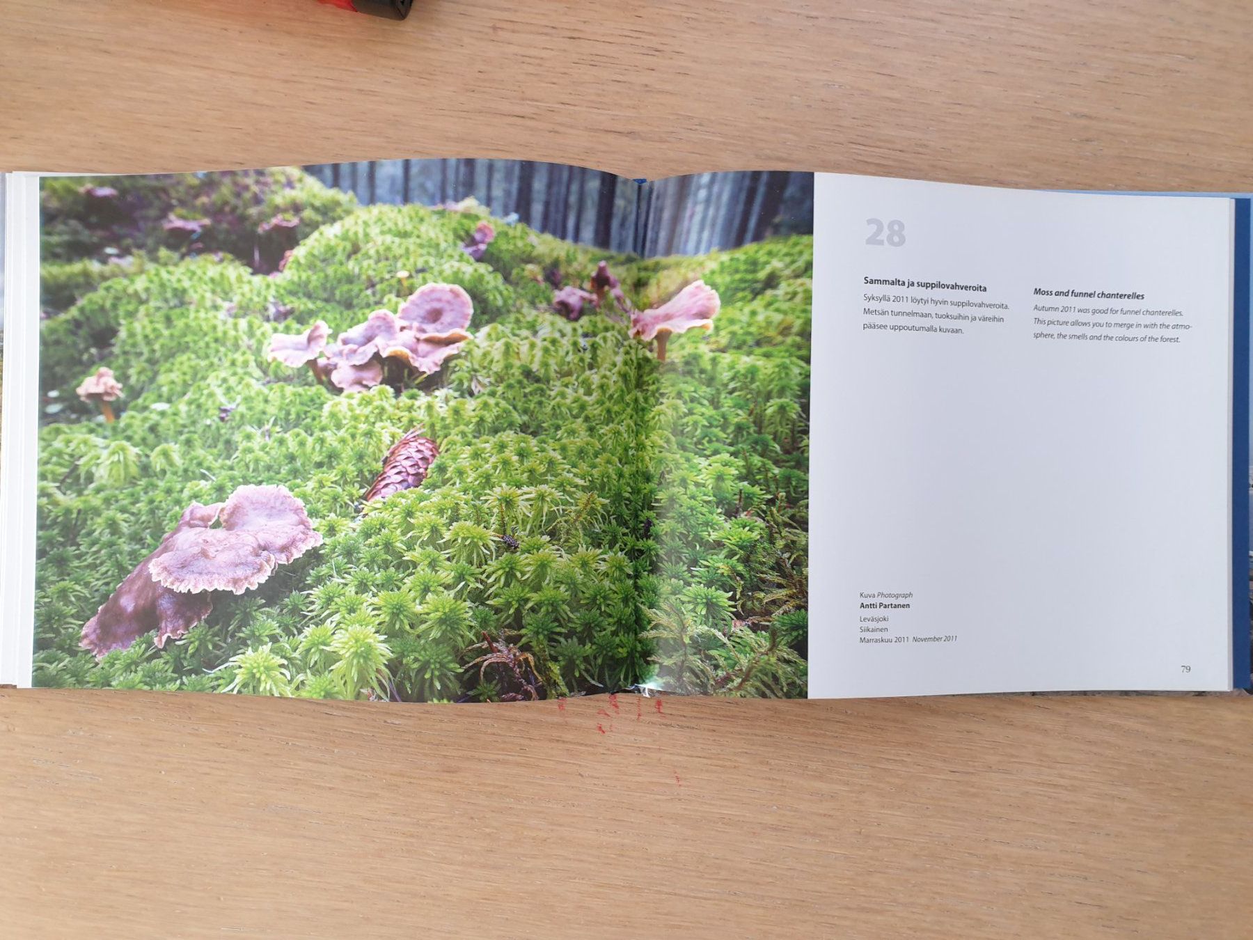 Libri: Buch Finnland – Usato da Schönengrund venduto da Liane63 7