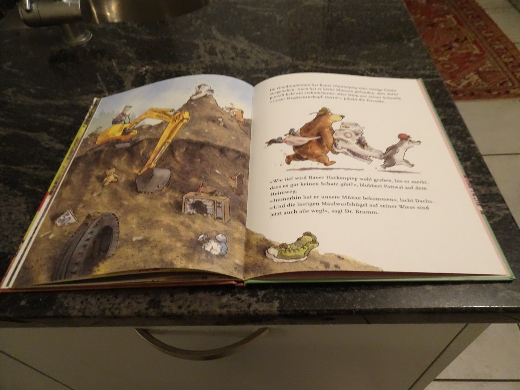 Libri: Bilderbuch  Dr. Brumm und der Megasaurus – Usato da Zürich venduto da Roulet 8