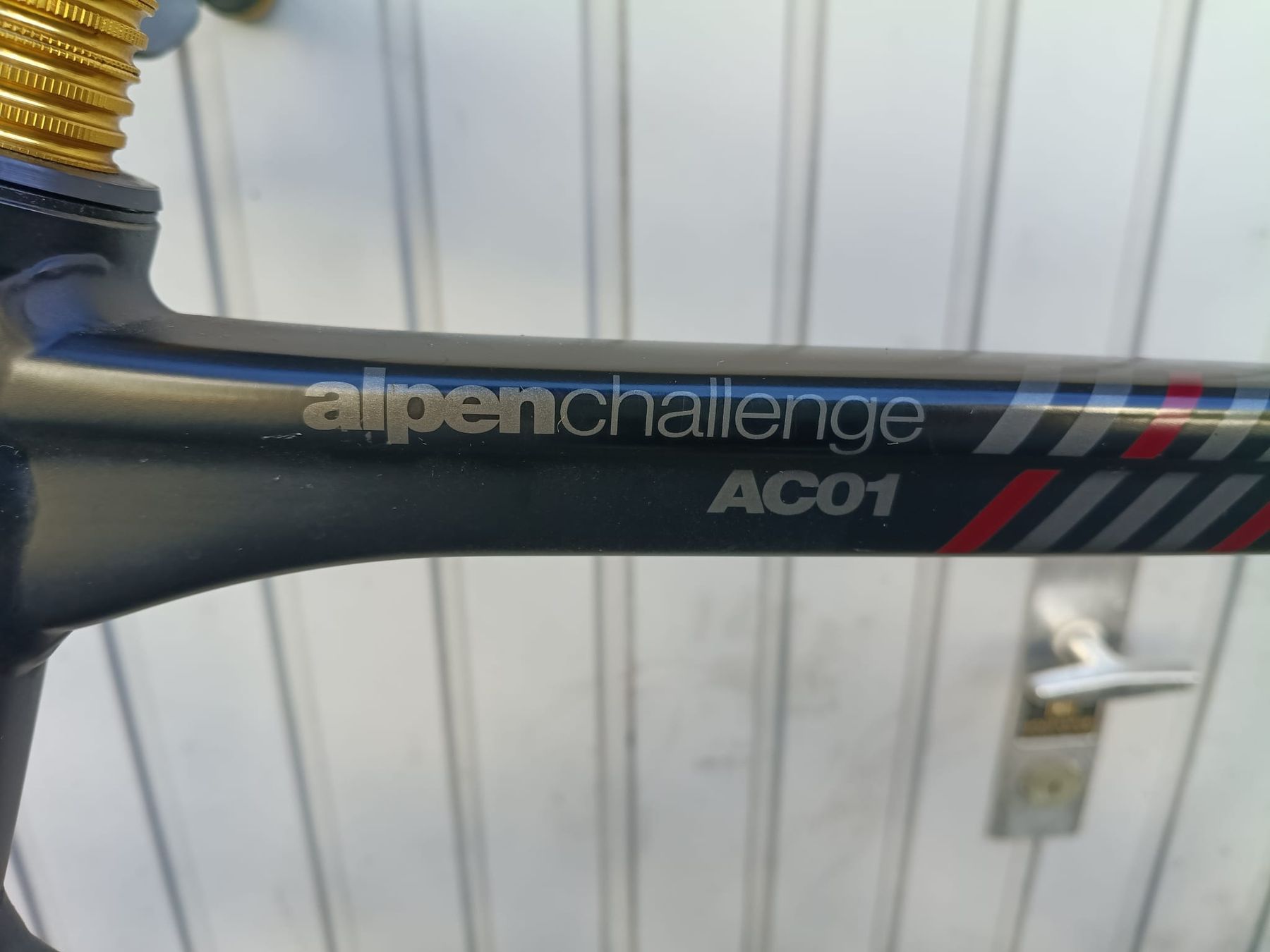 BMC Biciclette: Fahrrad BMC Alpenchallenge AC01 – Usato da Luzern venduto da WonderfulBasil 1