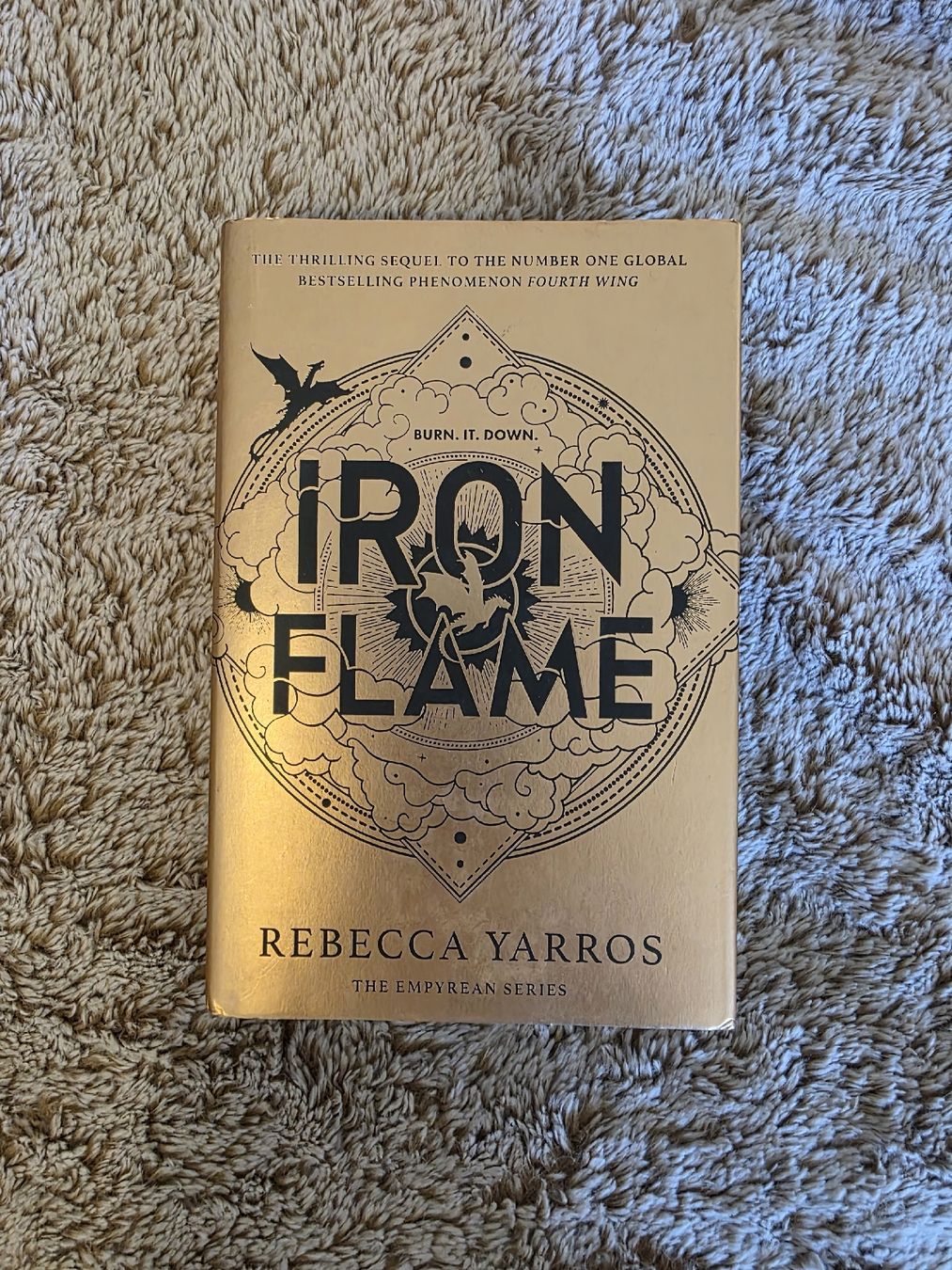 Libri: Buch Iron flame  selten mit farbschnitt – Nuovo (secondo la descrizione) da Erlen venduto da Noloka_green